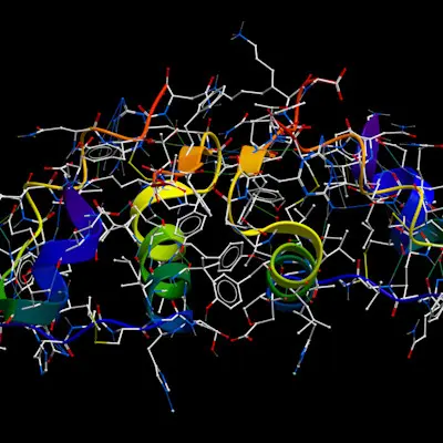 Insulin 3D molecular model