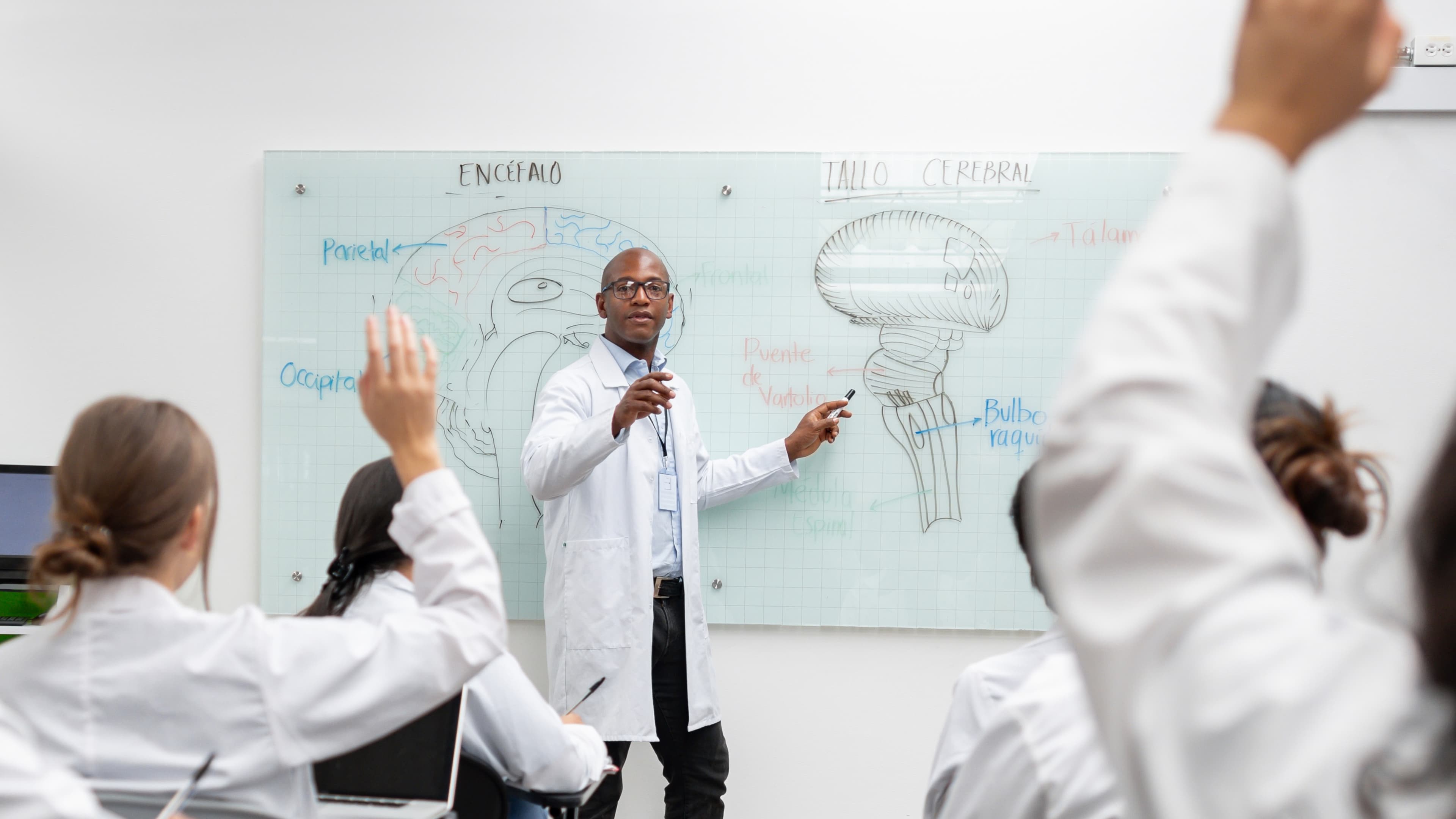 Medical Professional teaching a class of medical learners