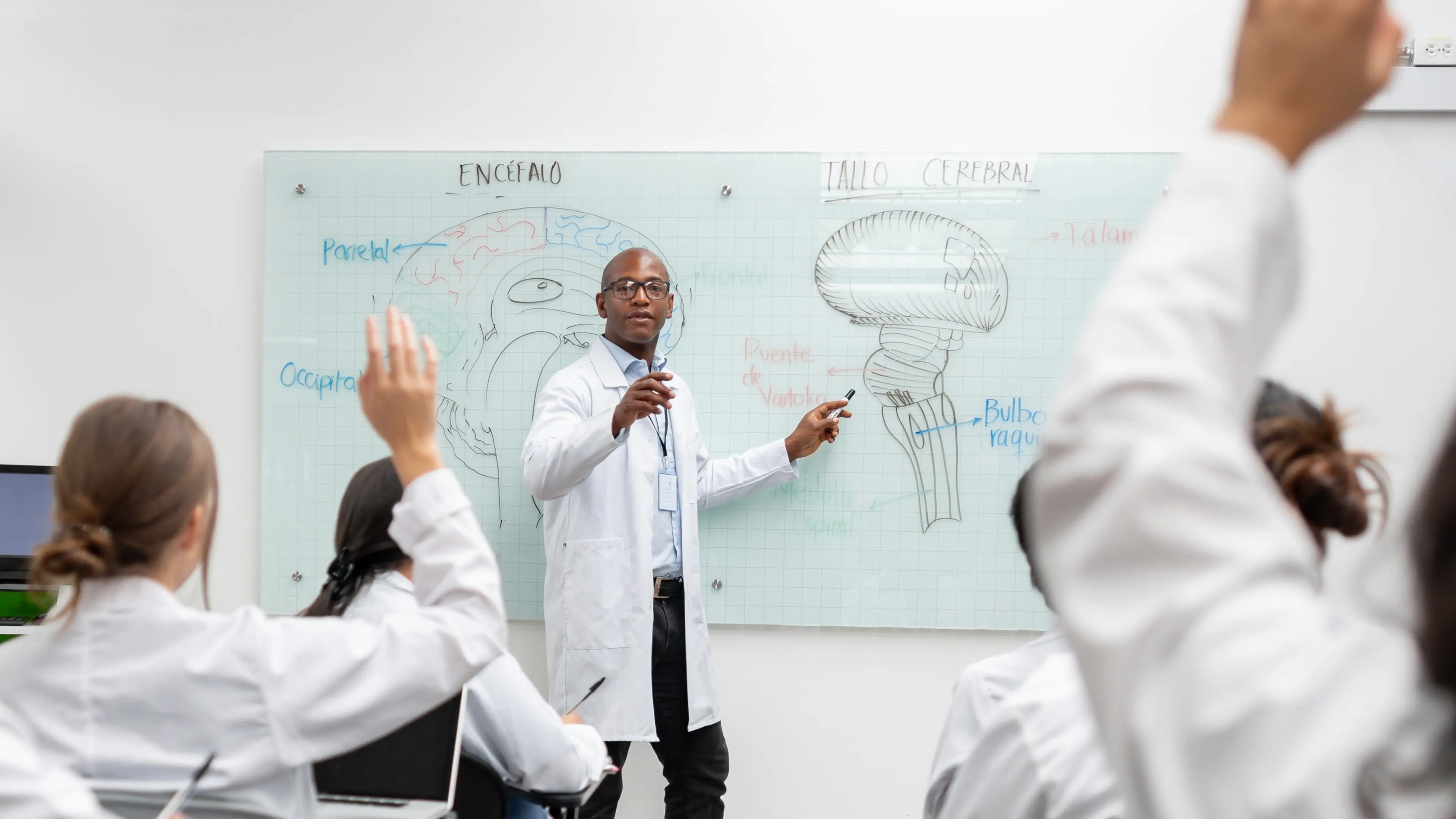Medical Professional teaching a class of medical learners