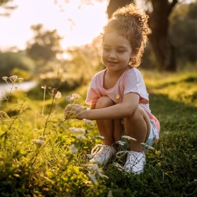 Young girl picking wild flower.