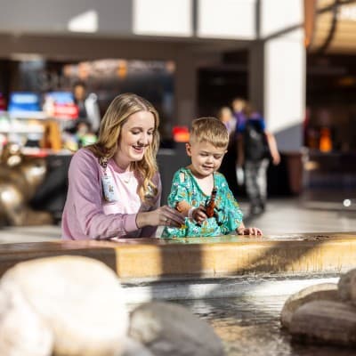Children's Nebraska provider playing dinosaurs with a young patient.
