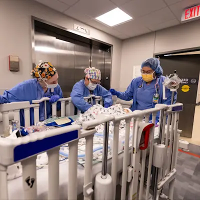 Providers moving patient down hallway.