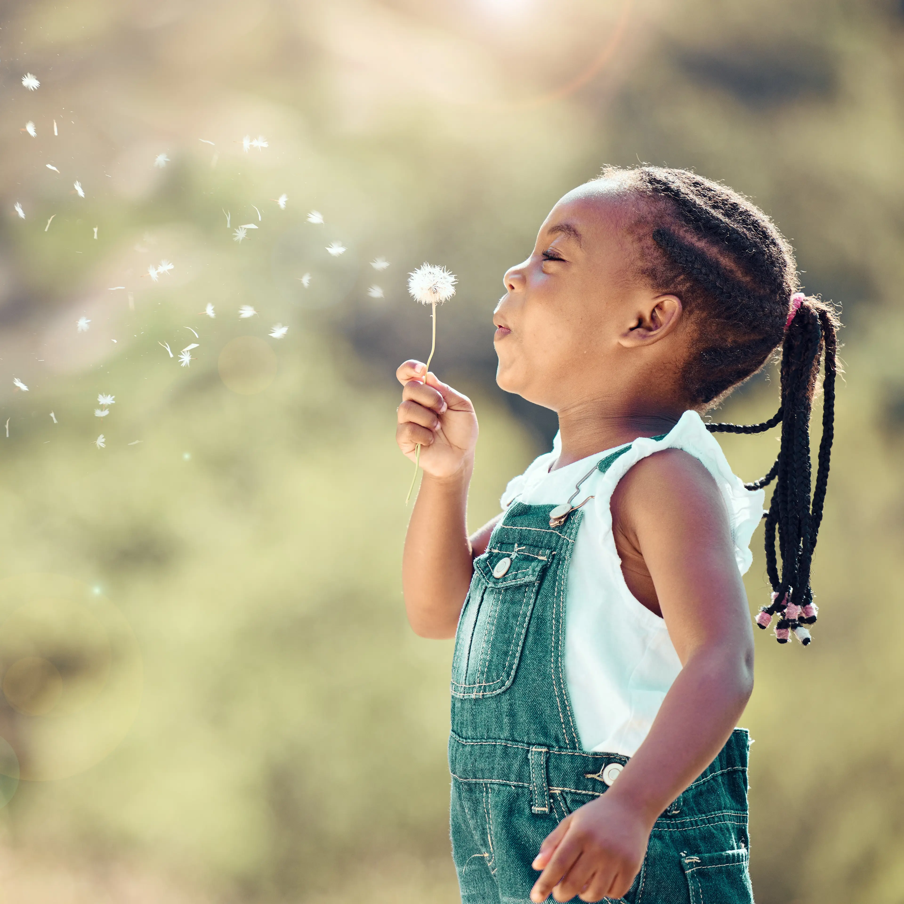 Happy child blowing dandelion.