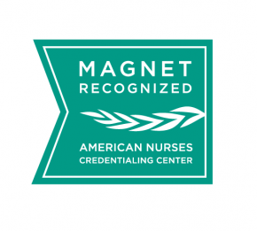 The Magnet Award