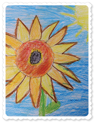 sunflower and sun