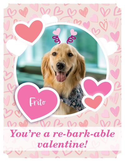 Valentine's Day card featuring Frito
